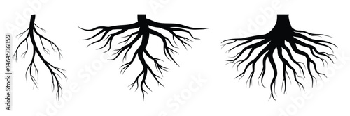 Roots silhouette on white background. Nature illustration. Tree root vector icon. Round shape. Vector illustration. EPS 10. 
