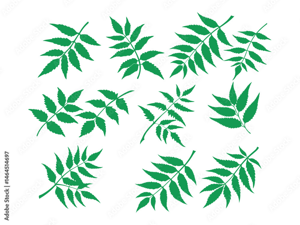 Obraz premium Green, black Leaf Silhouettes Pattern for Design, green leaves, leaf silhouettes, nature pattern, plant silhouettes, foliage, botanical illustration, design elements, background, pattern design, vecto