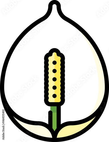 peace lily illustration on a white background    