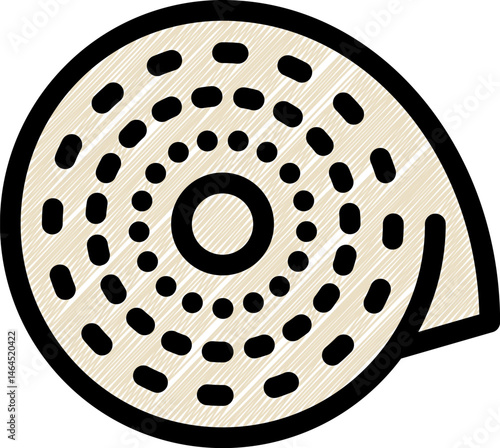 seashell illustration on a white background    