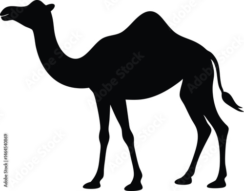 camel silhouette vector symbo