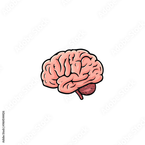 2D flat Brain vector illustration, isolated on a white background.