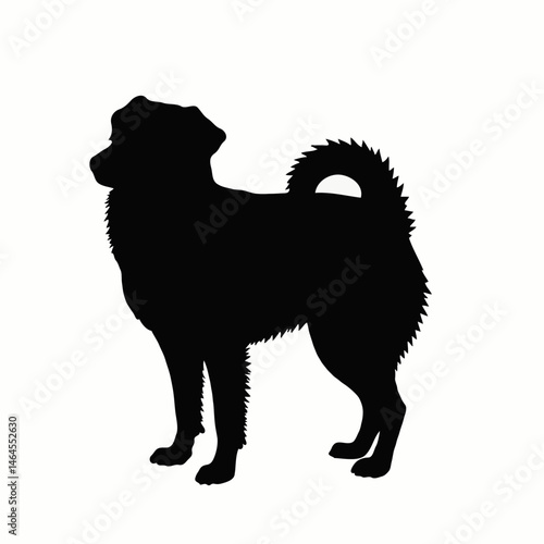 This elegant black silhouette showcases a dog with a proud stance, featuring a bushy tail and detailed outline. The minimalist design on a transparent background is perfect for pet-themed logos, art, 
