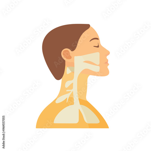 Breathing Exercise 2D flat vector illustration, isolated on a white background.