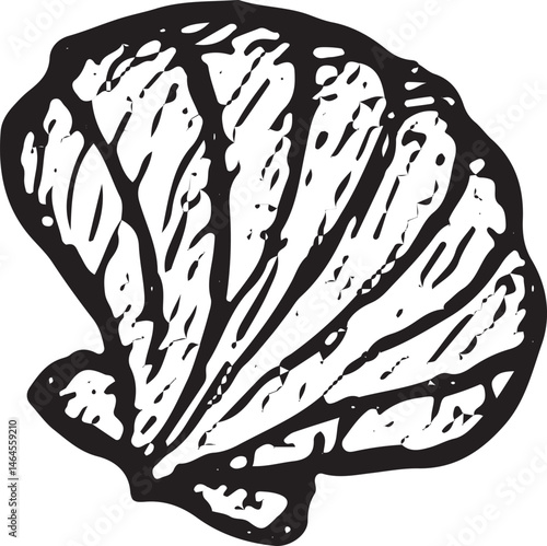 A hand-drawn illustration of a seashell with detailed, curved lines, representing the natural beauty and elegance of ocean life. Perfect for beach or nature-themed designs