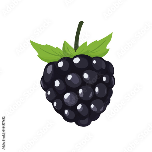Blackberry 2D flat vector illustration, isolated on a white background.