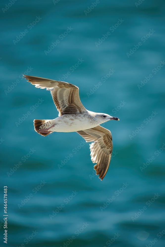 A seagull glides gracefully through the air above the bright turquoise ocean waters, showcasing its wings against a clear sky. The serene environment captures the essence of coastal beauty