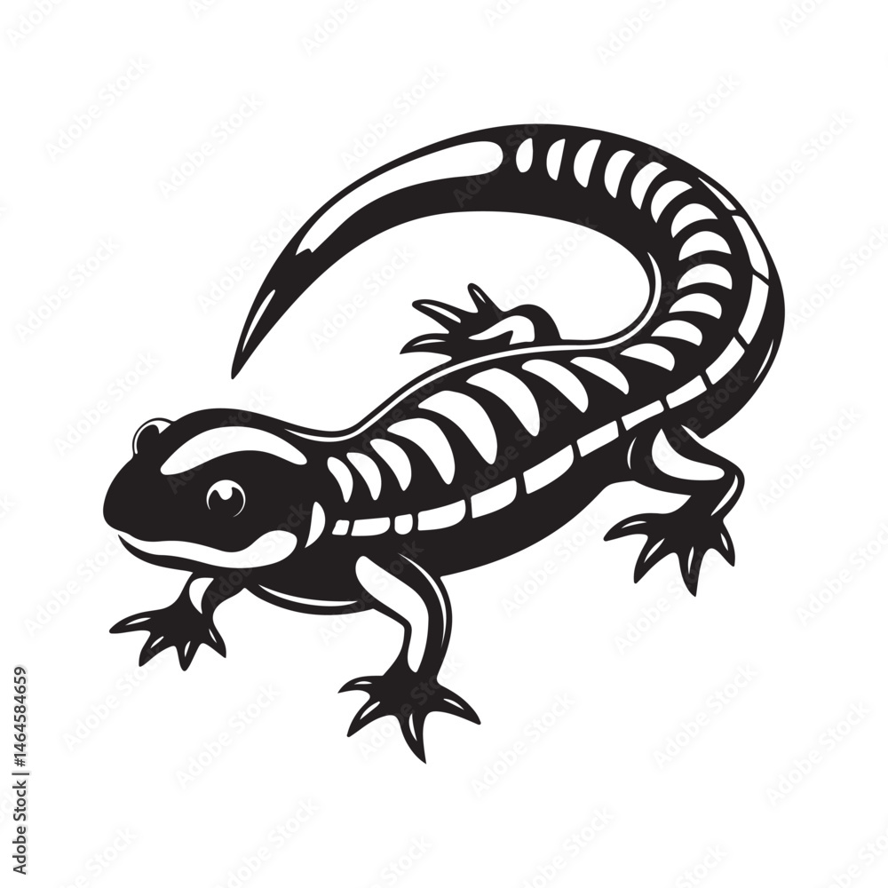 Fototapeta premium tiger salamander vector art illustration