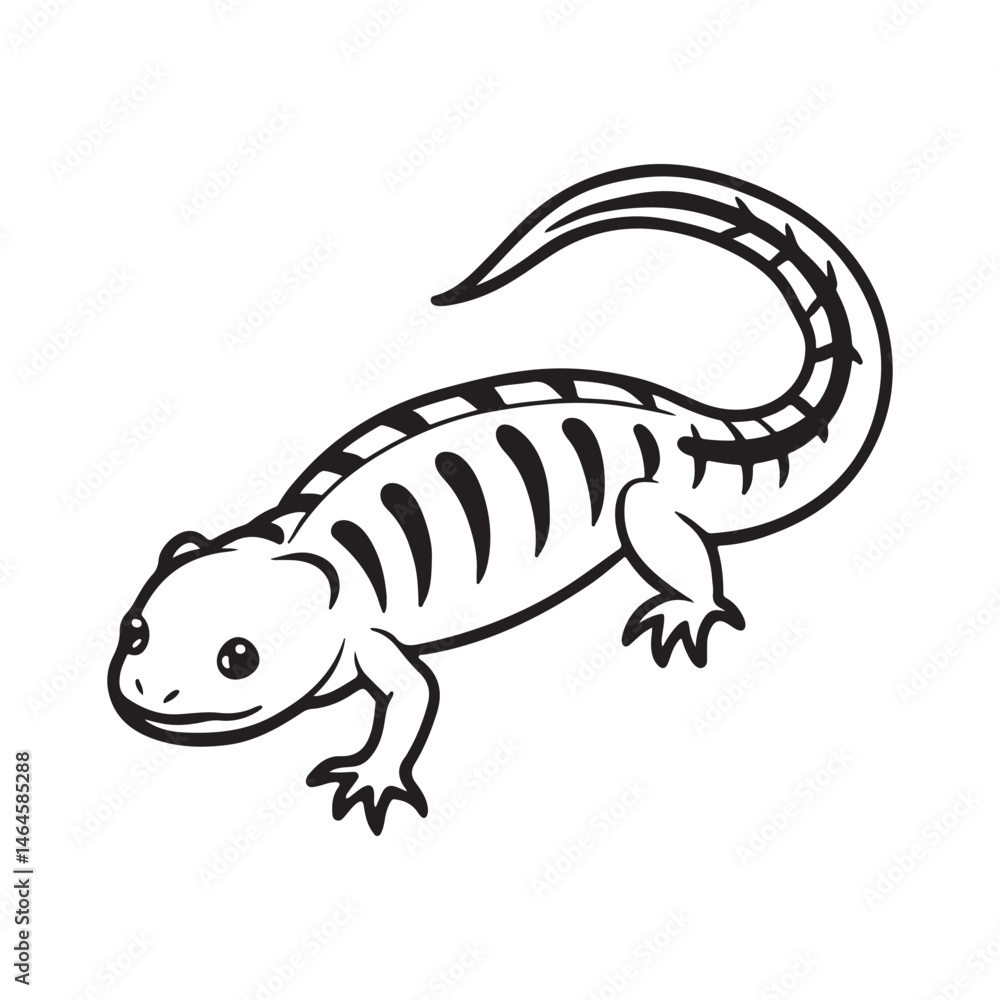 Naklejka premium tiger salamander vector art illustration