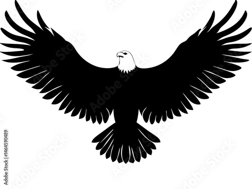 Black eagle silhouette bird flying with spread wings in nature illustration
