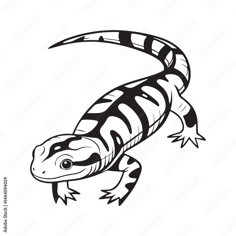 Fototapeta premium tiger salamander vector art illustration