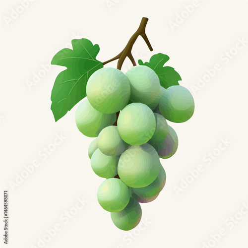 2D flat vector illustration of A Freshly Picked Bunch Of Summer Grapes, isolated on a white background.