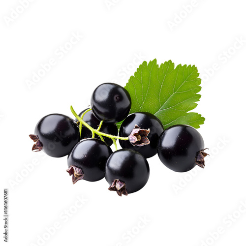 Blackcurrants fresh fruit bunch green leaf dark background