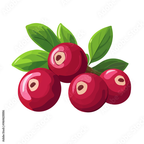 Cranberry 2D flat vector illustration, isolated on a white background.