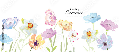 Abstract spring floral art background vector illustration. Watercolor hand painted botanical flower, leaves, eucalyptus, wildflower, stalk. Design for wallpaper, banner, card, print, wedding.