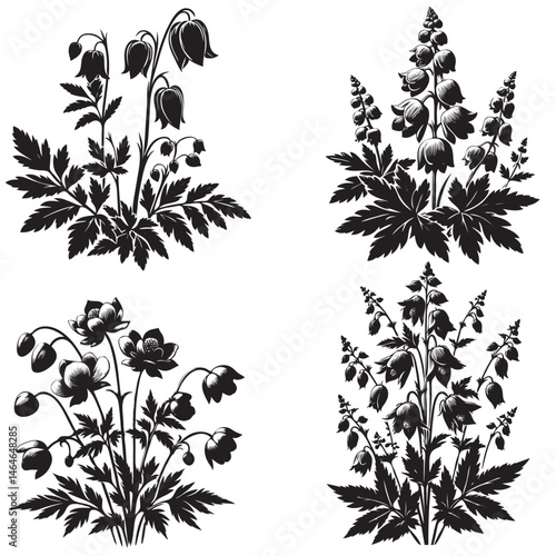 Monkshood Silhouette – Mysterious Beauty in Shadowed Bloom