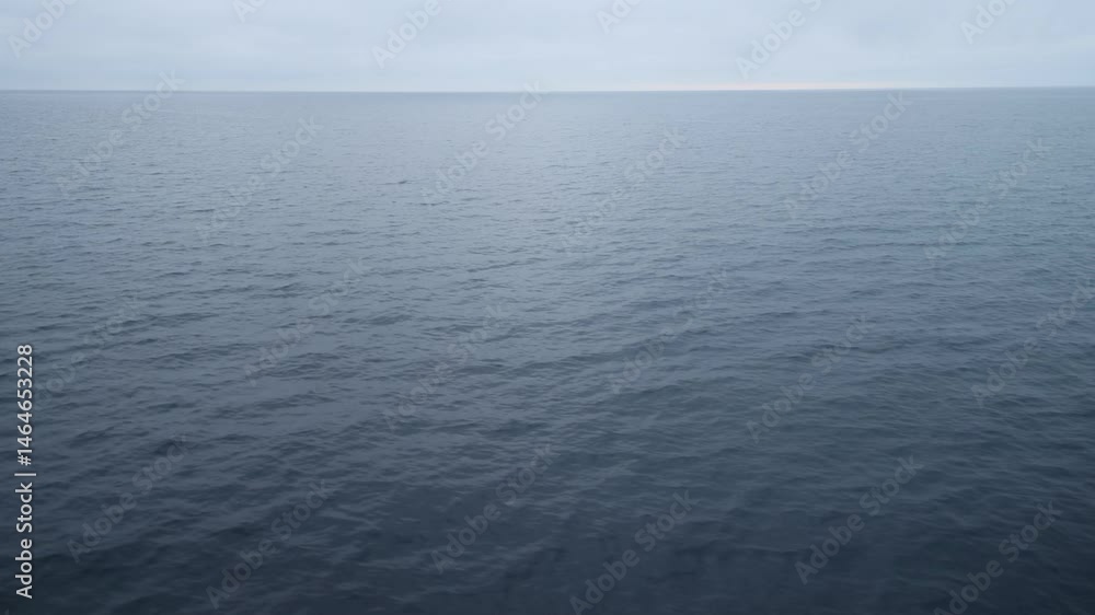 Bay of the Sea of Japan, reach. Sovetskaya Gavan. Khabarovsk territory Bay of the Sea of Japan, reach. Sovetskaya Gavan. Khabarovsk territory