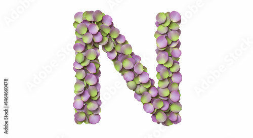 letter N