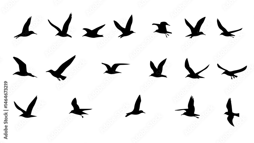 Seagull Silhouette Vector Set – Collection of Bird Shapes for Coastal and Nature Designs Seagull Silhouette Vector Set – Collection of Bird Shapes for Coastal and Nature Designs