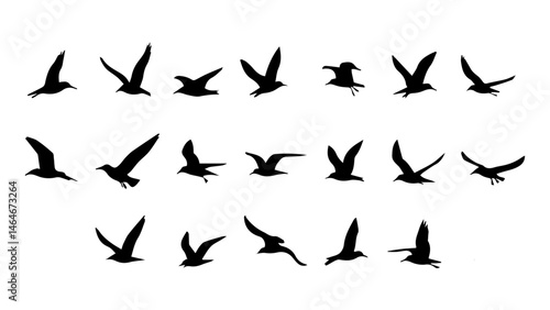 Seagull Silhouette Vector Set – Collection of Bird Shapes for Coastal and Nature Designs