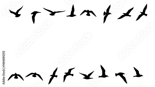 Seagull Silhouette Vector Set – Collection of Bird Shapes for Coastal and Nature Designs