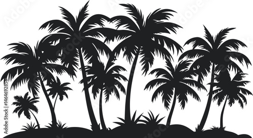 palm tree silhouette