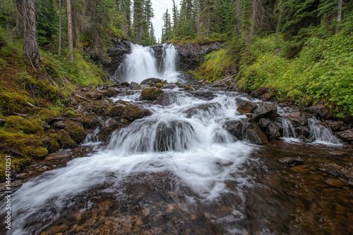 Mountain stream cascades down rocky terrain creating a serene waterfall in a lush forest landscape