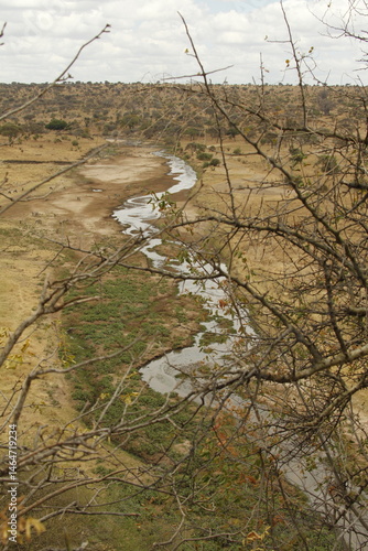 Paesaggio con fiume in uno dei parchi nazionali della Tanzania,Africa.