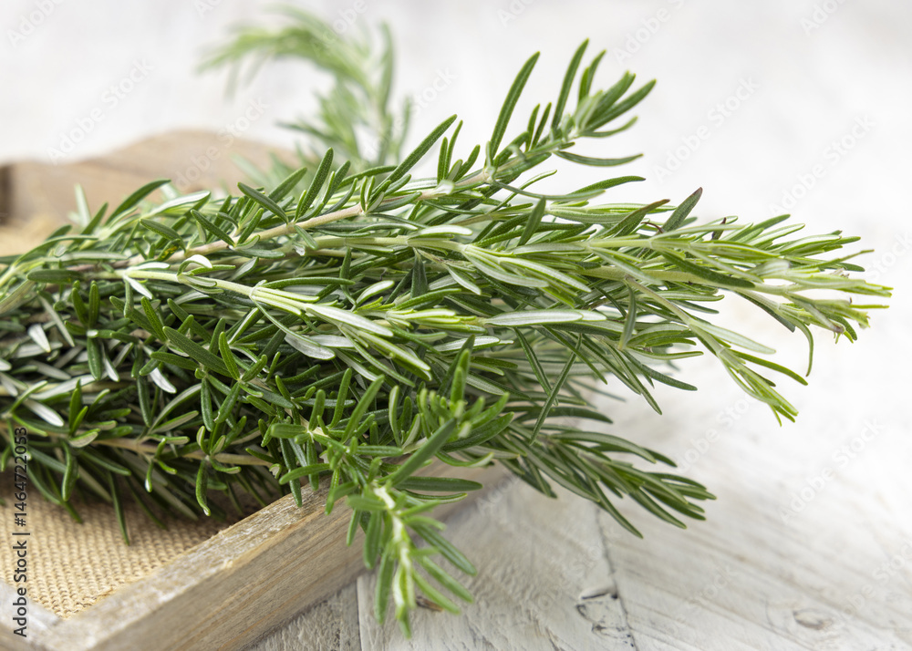 Fresh green rosemary sprigs in a tray on white rustic table closeup. Aromatic herb for culinary