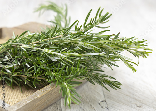 Obraz na płótnie Fresh green rosemary sprigs in a tray on white rustic table closeup. Aromatic herb for culinary w salonie