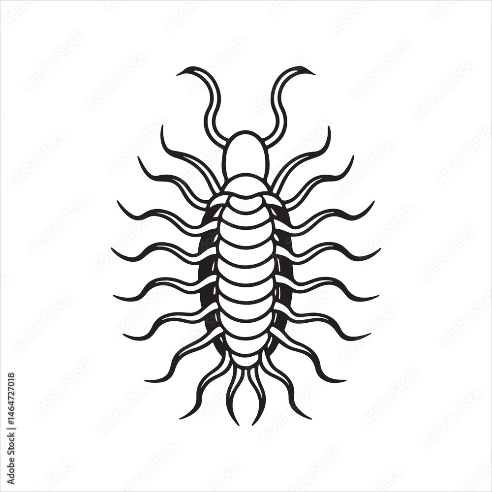 Obraz premium caecilia tentaculata vector art illustration