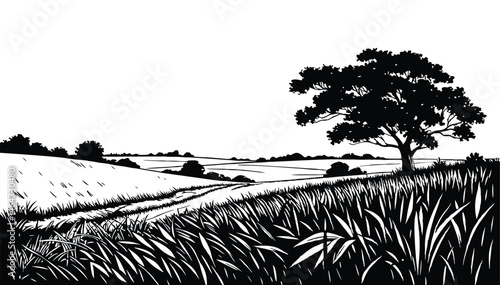 A tree in a field in black and white