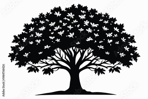 A single black tree with full leaves casts an elegant, shadowy silhouette on white
