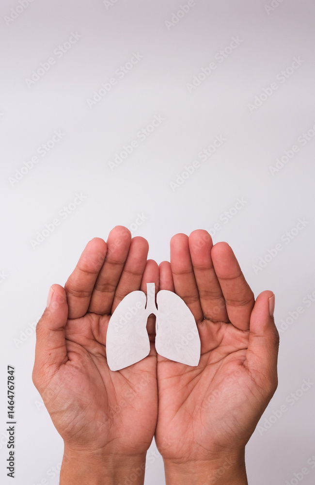 hands hold a lungs symbol on white background. World Tuberculosis Day. Healthcare, medicine, hospital, diagnostic, internal donor organ hands hold a lungs symbol on white background. World Tuberculosis Day. Healthcare, medicine, hospital, diagnostic, internal donor organ