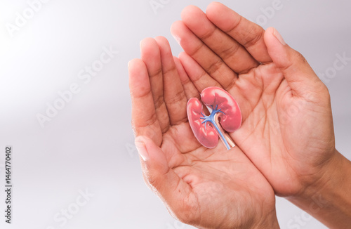 Wallpaper Mural World kidney day. Hand holding kidney shaped paper on white background. National Organ Donor Day. Kidney health concept. top view banner. copy space Torontodigital.ca