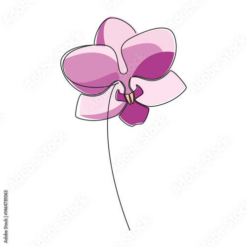 Hand drawn pink orchid flower vector. Linear icon. Line continuous drawing. Floral design, botanical print, card, wall art poster, logo, sign, doodle, symbol. Abstract cartoon plant illustration