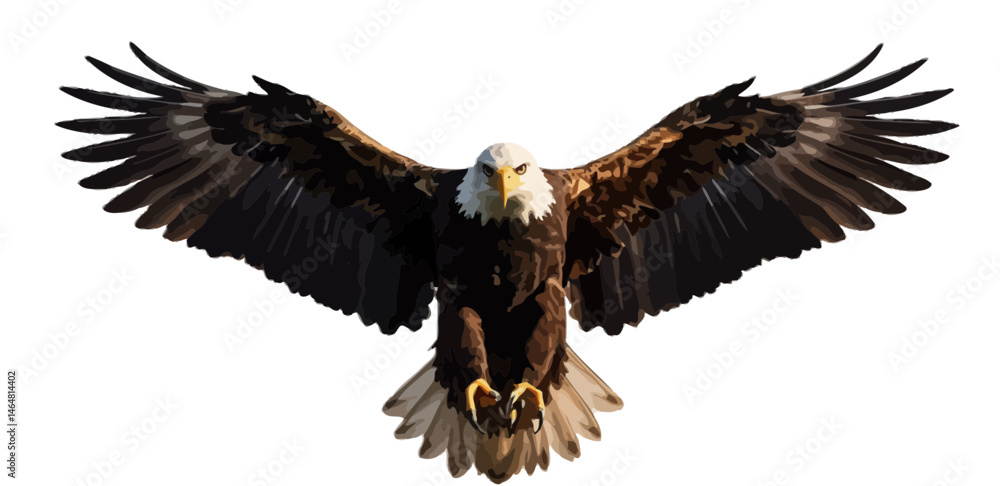 Obraz premium eagle in flight vector