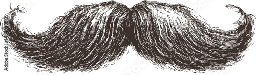 Black and white illustration of a large vintage mustache sketch. Vector illustration