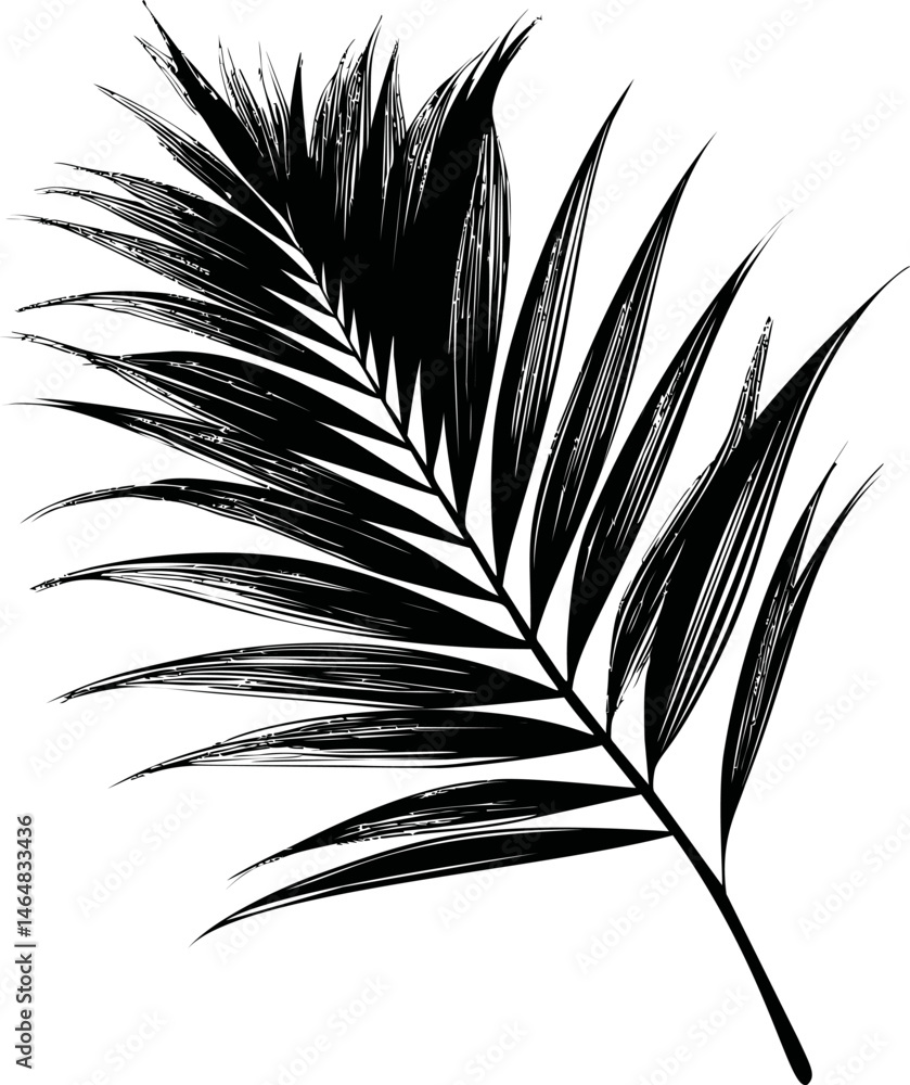 Obraz premium Silhouette of a palm leaf ,. Vector illustration