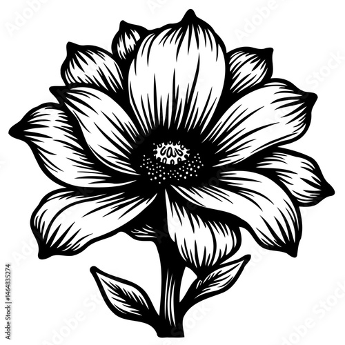 Monochrome Floral Graphic: Ornate Blossom Illustration with Botanical Detail
