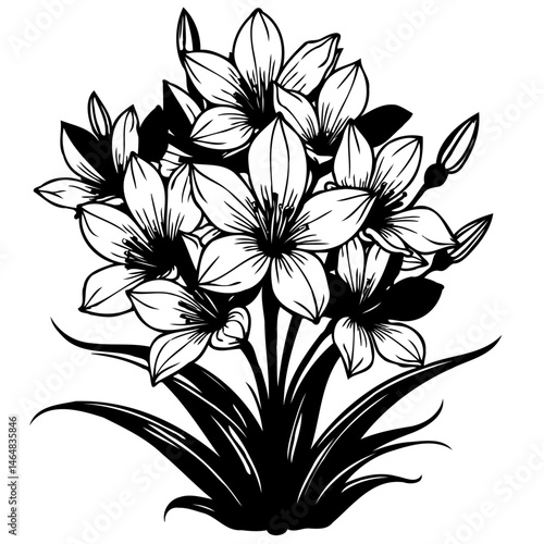 Elegant botanical illustration featuring a cluster of stylized flowering blooms