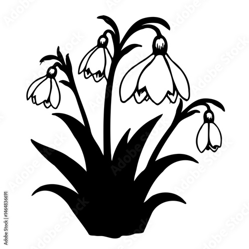 Elegant botanical illustration of snowdrop flowers in a monochromatic vector format