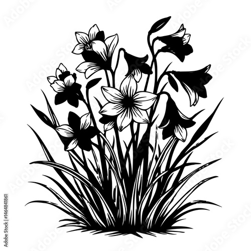 Elegant floral botanical design featuring blooming lilies in a stylish vector format