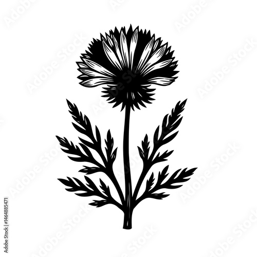 Wallpaper Mural Elegant floral silhouette illustration depicting a single bloom and foliage Torontodigital.ca