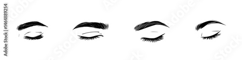 Vector illustration of diverse eye styles showcasing eyelash and eyebrow variations with a minimalist approach