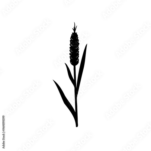 Minimalist depiction of a plant with elongated leaves in stark monochrome