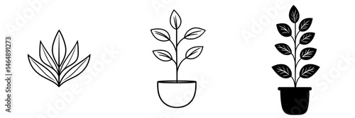 Elegant vector illustrations of various plant designs suitable for gardening or botanical themed projects