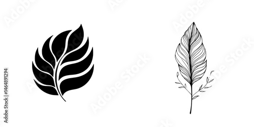 Elegant vector illustration of plant leaves showcasing unique designs suitable for various creative projects