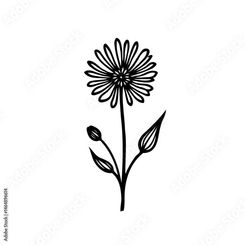 Elegant simplicity: A delicately hand-drawn floral illustration for versatile designs