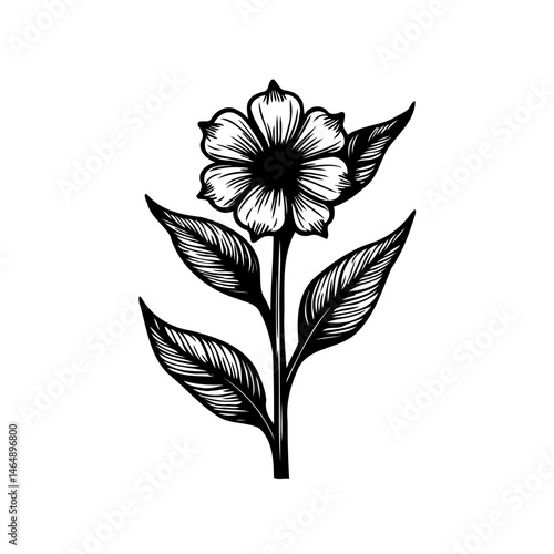 Elegant monochrome floral botanical illustration of a blooming flower branch